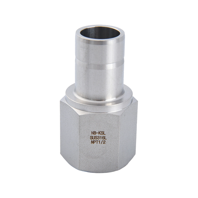 Adaptateur de filetage interne de tuyau à tuyau en acier inoxydable 316L