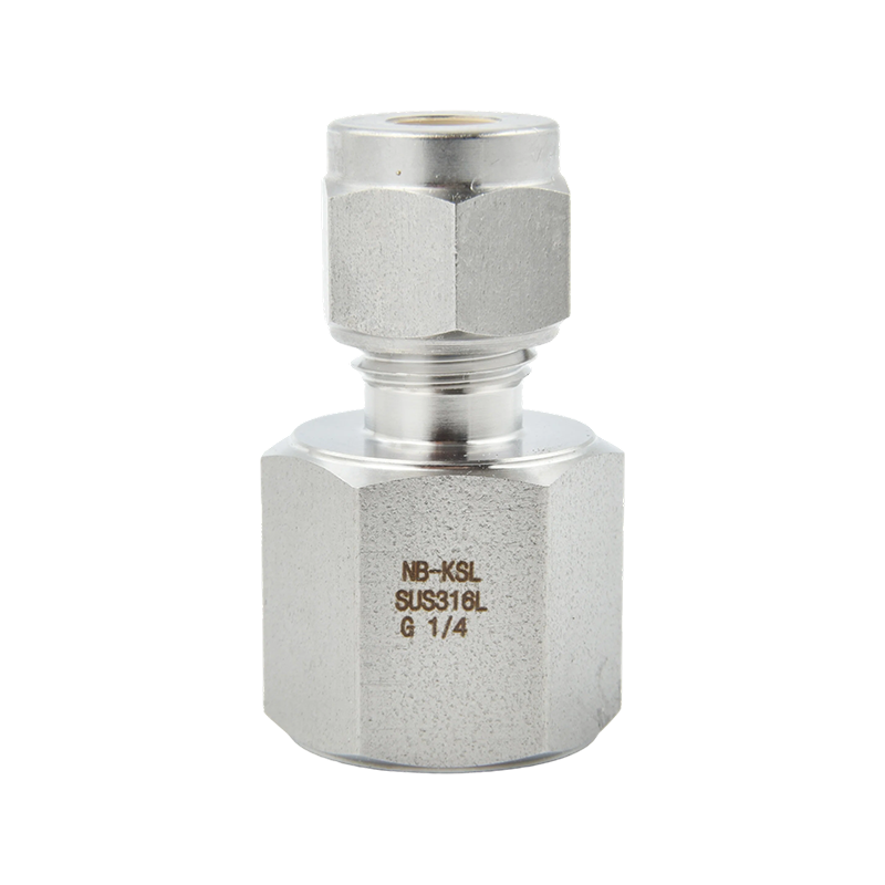 Connecteur de manomètre à raccord à compression en acier inoxydable 316L