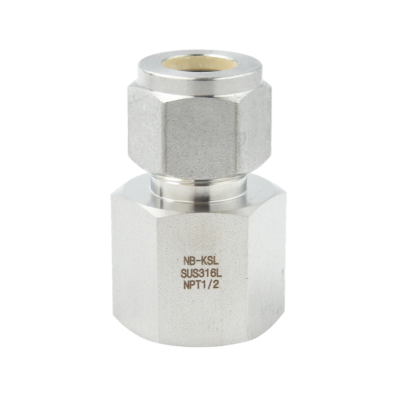 Connecteur à filetage interne en acier inoxydable 316L, raccord à compression