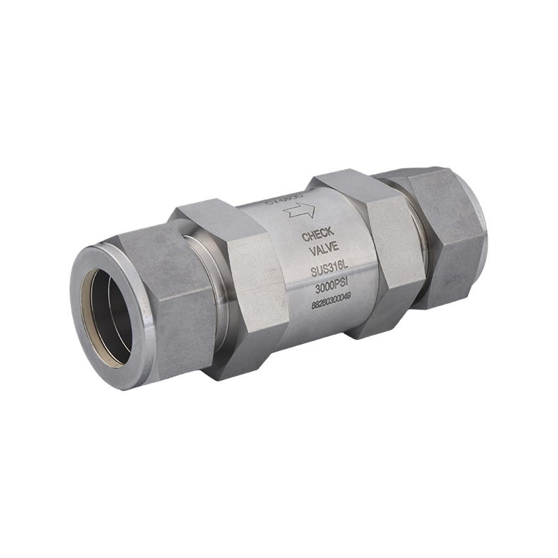 Clapets anti-retour en acier inoxydable